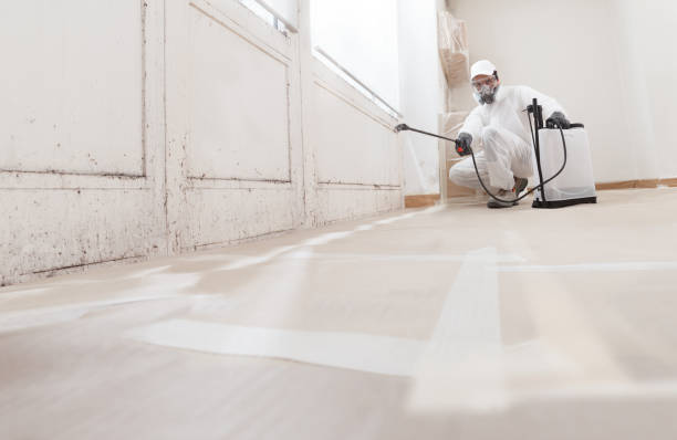 24/7 Emergency Attic Mold Remediation experts in Midland, VA