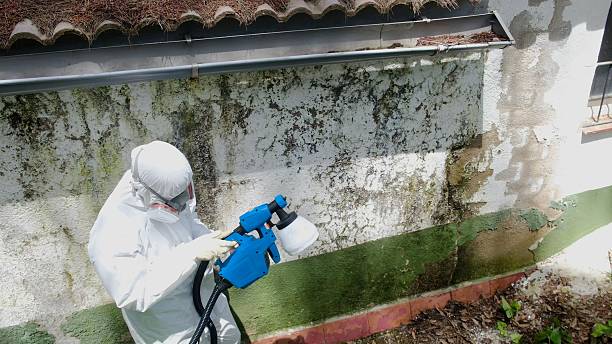 Top rated local Attic Mold Remediation specialists in Midland, VA